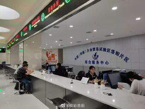 開放新格局 發(fā)展新畫卷