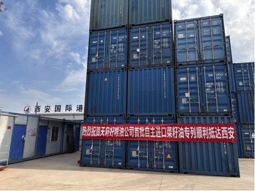 2024年天府好糧油公司 多元驅(qū)動,多維布局,引領糧油產(chǎn)業(yè)新航向