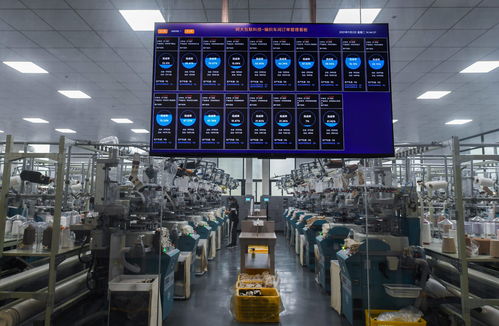 浙江諸暨 積極推進 國際襪都 襪業(yè)產(chǎn)業(yè)高質量發(fā)展