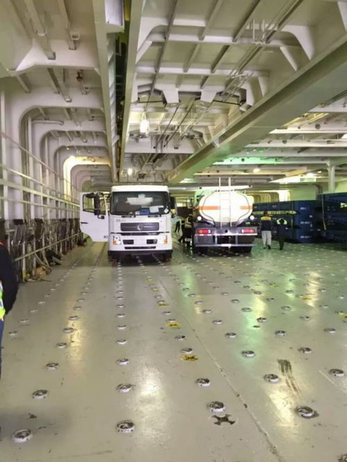 特殊物品清關(guān)哪家公司好