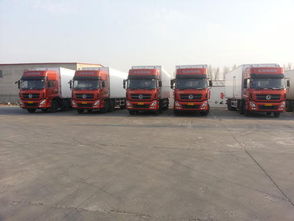 寧波至成都物流專線與國際物流服務(wù)解析